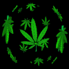 animated marijuana spinning