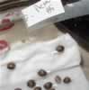 germinating marijuana seeds